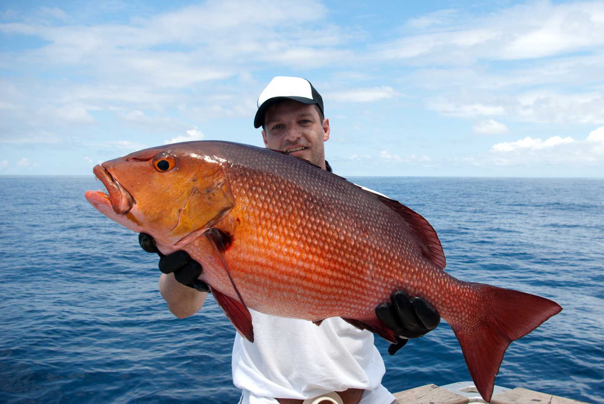 Deep Sea Fishing Charters Panama City Beach
